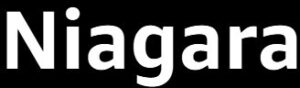 Niagara Sleep Solution logo black