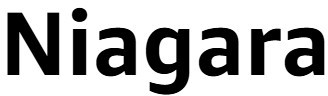 Niagara Sleep Solution logo